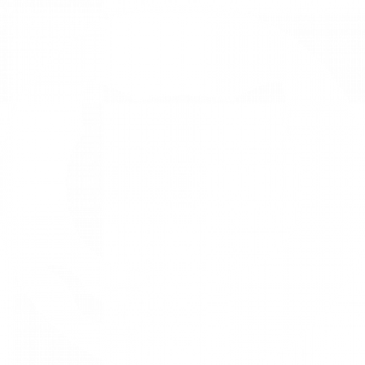 github-mark-white